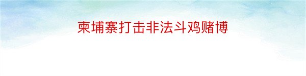 柬埔寨打击非法斗鸡赌博