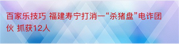 百家乐技巧 福建寿宁打消一“杀猪盘”电诈团伙 抓获12人