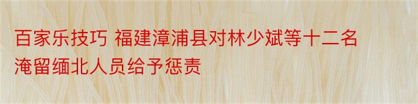 百家乐技巧 福建漳浦县对林少斌等十二名淹留缅北人员给予惩责