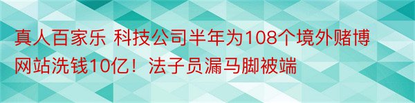 真人百家乐 科技公司半年为108个境外赌博网站洗钱10亿！法子员漏马脚被端