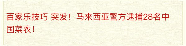 百家乐技巧 突发！马来西亚警方逮捕28名中国菜农！