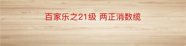 百家乐之21级 两正消数缆