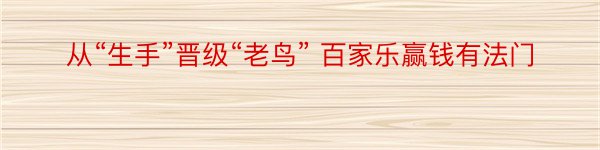 从“生手”晋级“老鸟” 百家乐赢钱有法门