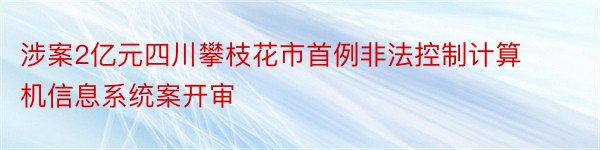 涉案2亿元四川攀枝花市首例非法控制计算机信息系统案开审