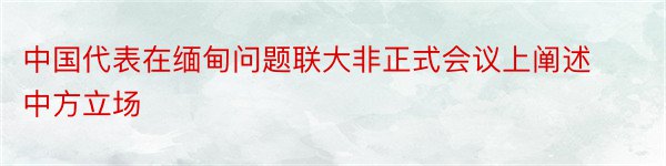 中国代表在缅甸问题联大非正式会议上阐述中方立场