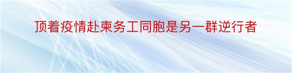 顶着疫情赴柬务工同胞是另一群逆行者