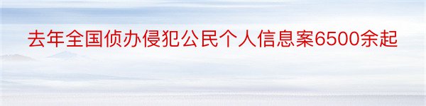 去年全国侦办侵犯公民个人信息案6500余起