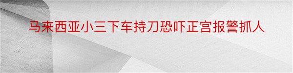 马来西亚小三下车持刀恐吓正宫报警抓人