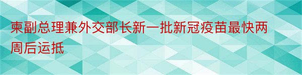 柬副总理兼外交部长新一批新冠疫苗最快两周后运抵