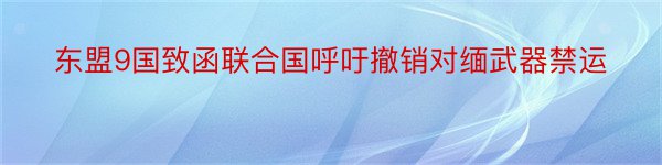 东盟9国致函联合国呼吁撤销对缅武器禁运