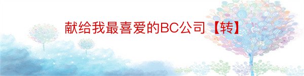 献给我最喜爱的BC公司【转】