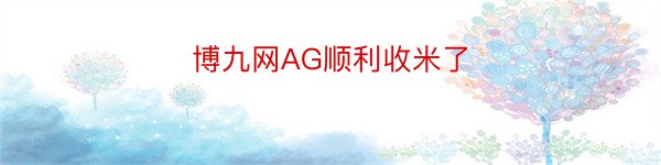 博九网AG顺利收米了